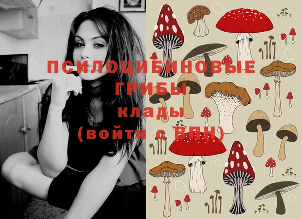 спайс Абаза