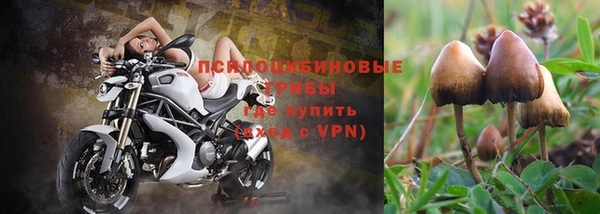 спайс Абаза