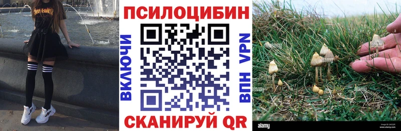 Галлюциногенные грибы MAGIC MUSHROOMS Белореченск